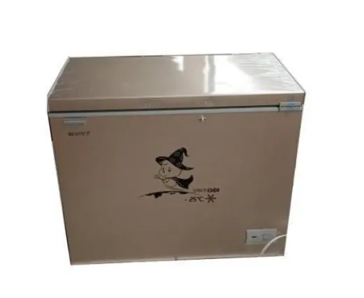 250L Snowsea inverter Freezer
