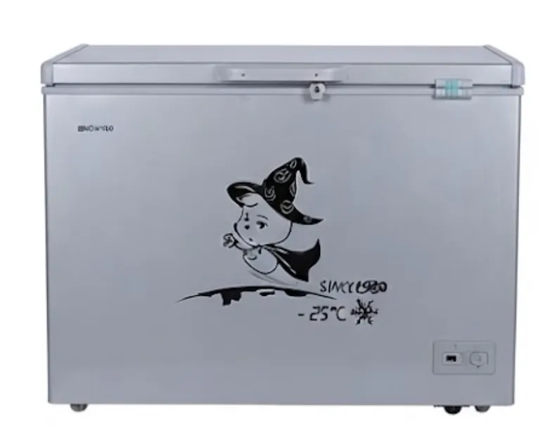 400L Snowsea inverter Freezer