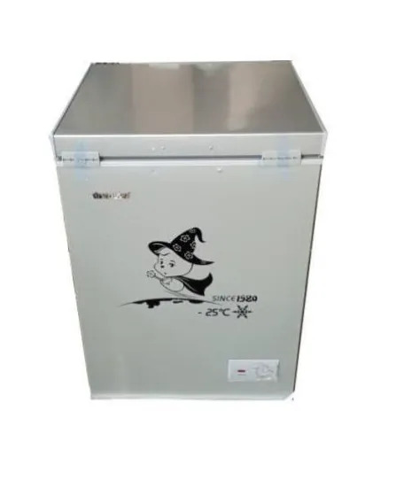 108L Snowsea Freezer Non Inverter.