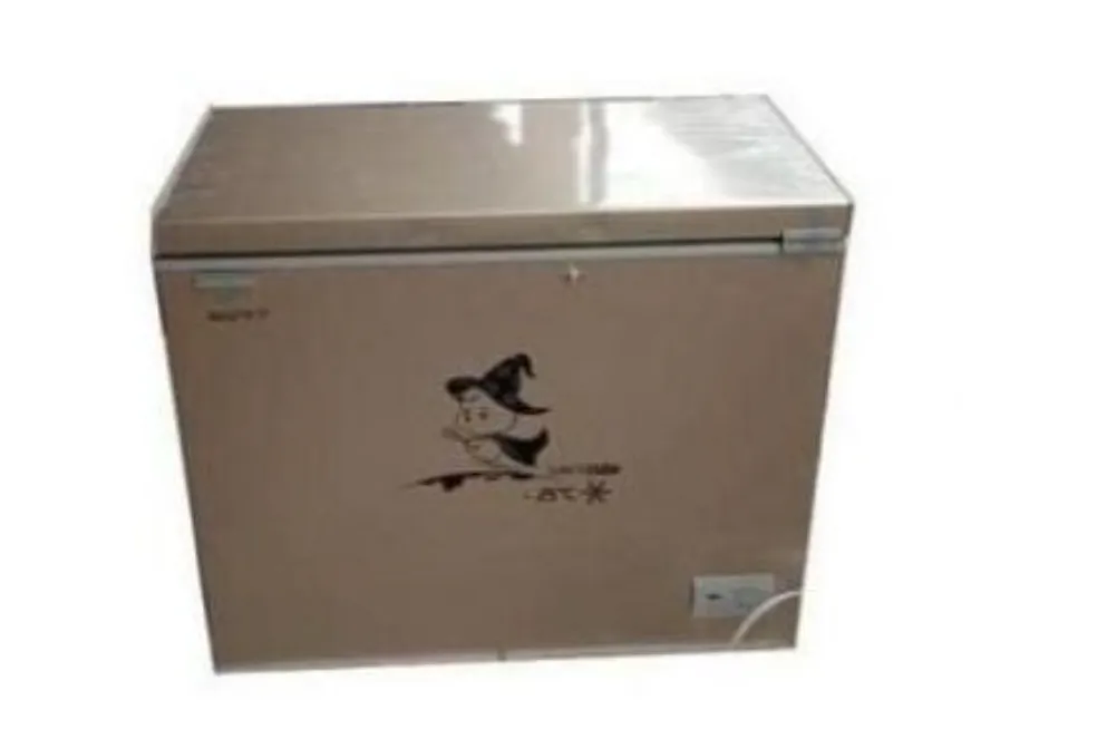 308L Snowsea Freezer Non Inverter